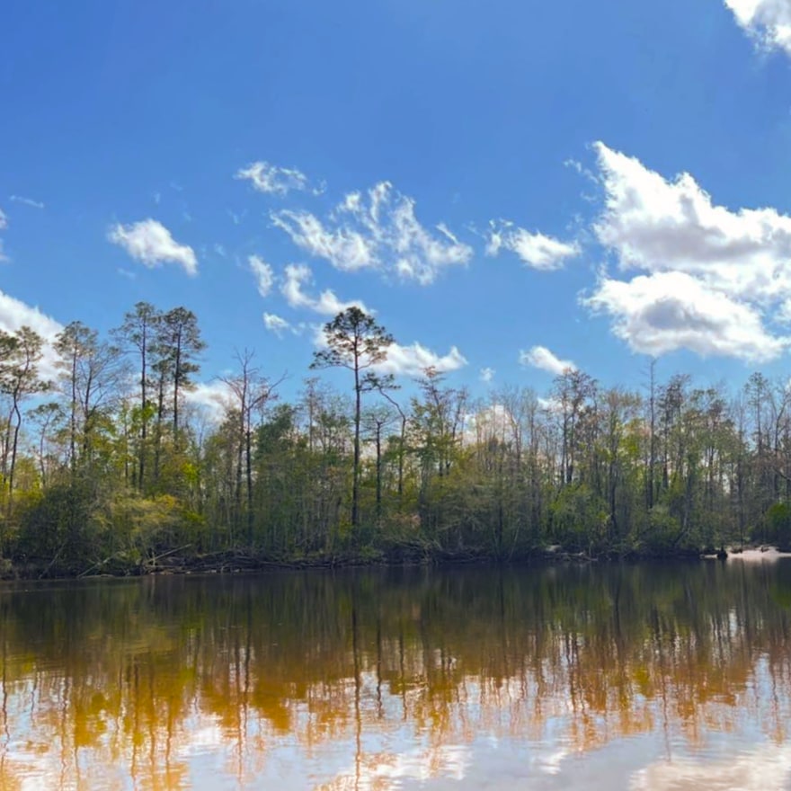 Beautiful Day On The Jourdan River Sq
